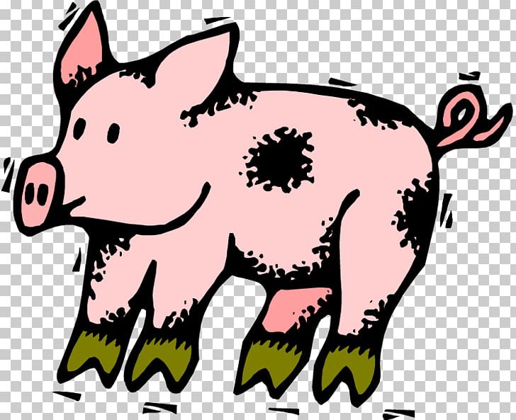 Pig Drawing Giant Panda PNG, Clipart, Animal, Animals, Artwork, Carnivoran, Cattle Like Mammal Free PNG Download