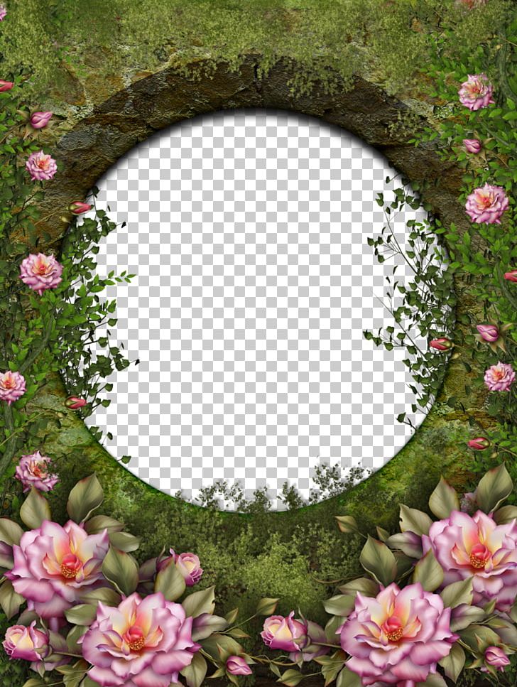 Rose Garden Garden Roses PNG, Clipart, Desktop Wallpaper, Fence, Flora, Floral Design, Floristry Free PNG Download
