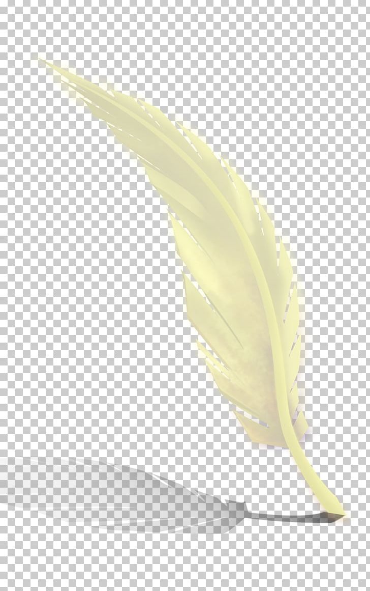 Yellow Feather Material PNG, Clipart, Animals, Background White, Black White, Feather, Feathers Free PNG Download