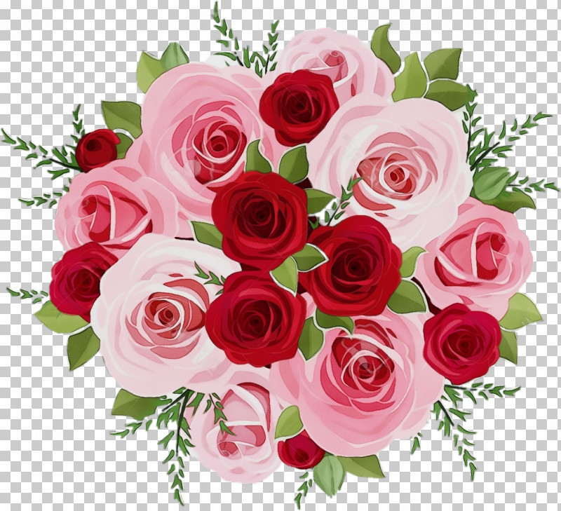 Garden Roses PNG, Clipart, Annual Plant, Artificial Flower, Biology, Cabbage Rose, Cut Flowers Free PNG Download