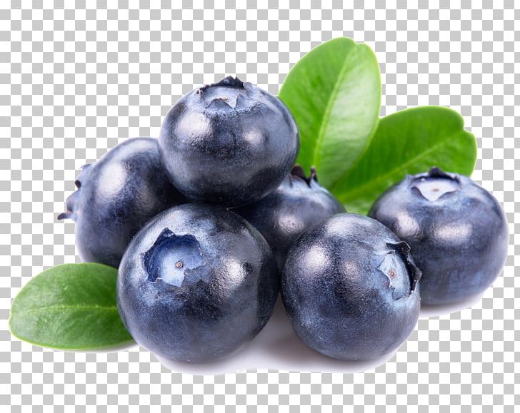 Blueberry Organic Food Health Superfood Cranberry PNG, Clipart, Anthocyanin, Antioxidant, Aristotelia Chilensis, Berry, Bilberry Free PNG Download