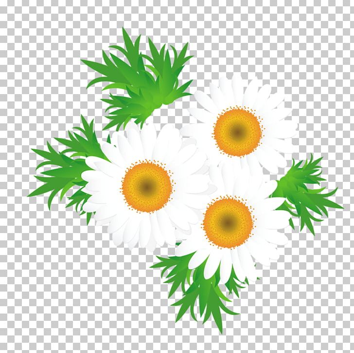 Graphic Design PNG, Clipart, Art, Common Sunflower, Cut Flowers, Daisy Family, Decoupage Free PNG Download