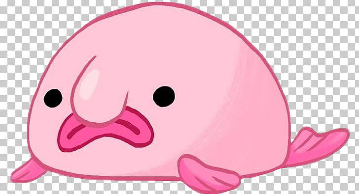 Pink Is For Blobfish: Discovering The World's Perfectly Pink Animals Drawing PNG, Clipart,  Free PNG Download