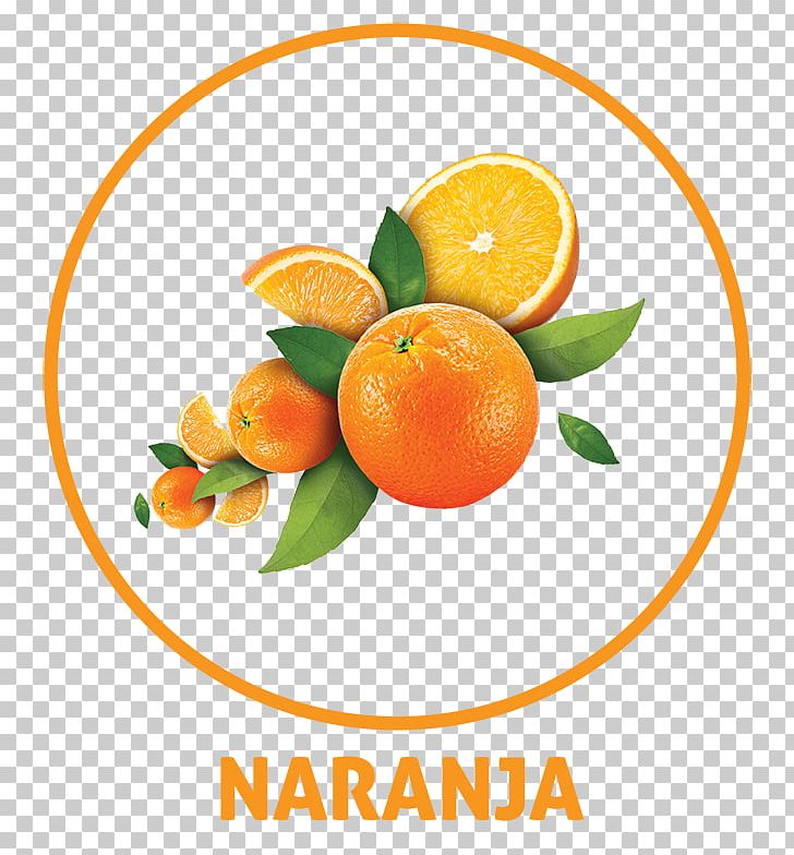 Tangerine Orange Drink Orange Juice PNG, Clipart, Bitter Orange, Citric Acid, Citrus, Clementine, Diet Food Free PNG Download