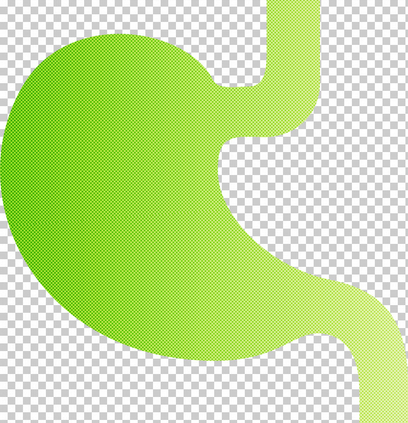 Stomach Organ PNG, Clipart, Green, Logo, Stomach Organ Free PNG Download