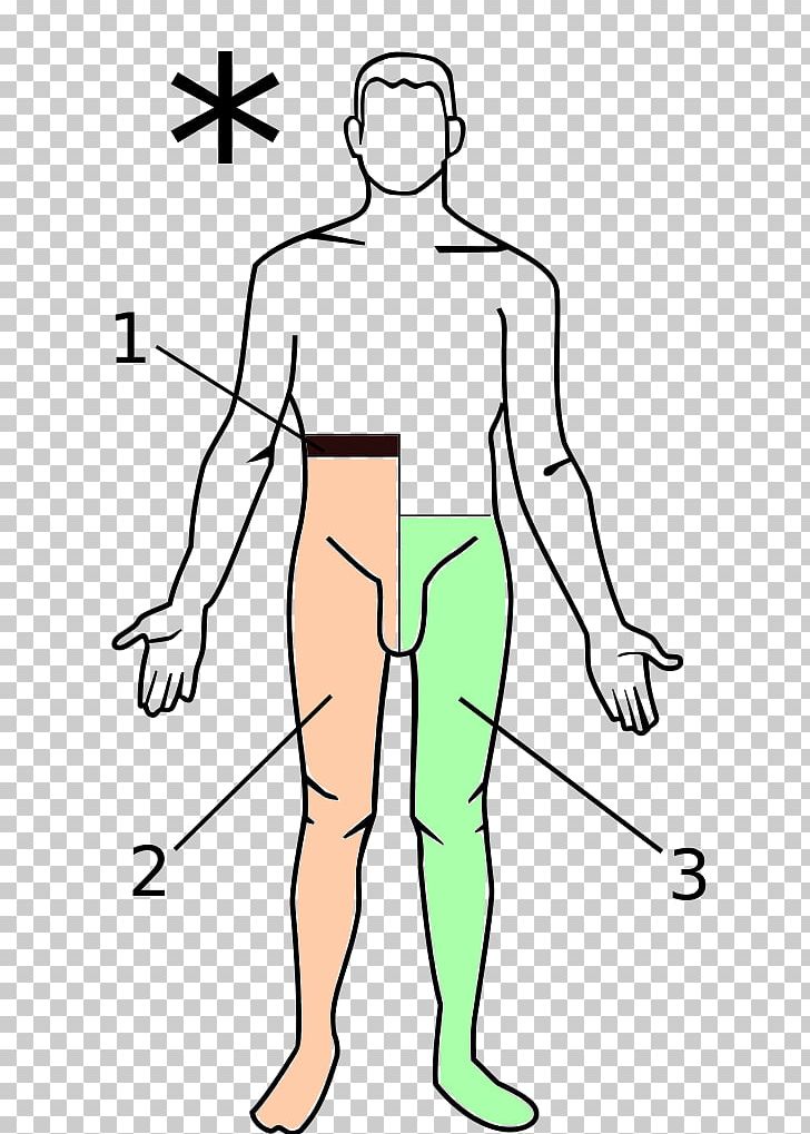Brown-Séquard Syndrome Spinal Cord Posterior Cord Syndrome Medicine PNG, Clipart, Abdomen, Ache, Angle, Area, Arm Free PNG Download