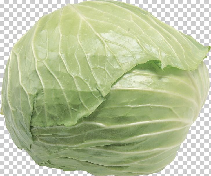 Chinese Cabbage Cauliflower Leaf Vegetable PNG, Clipart, 100natural, Bok Choy, Brassica Oleracea, Cabbage, Capsicum Annuum Free PNG Download