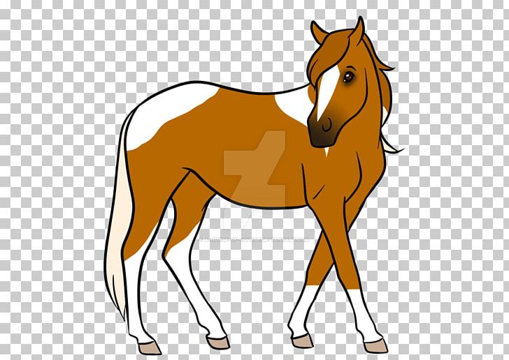 Foal Stallion Colt Pony Mare PNG, Clipart, Animal, Animal Figure, Bridle, Colt, Foal Free PNG Download