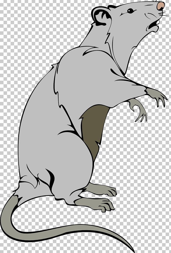 Rat PNG, Clipart, Animals, Art, Artwork, Bear, Beaver Free PNG Download