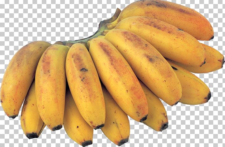 Saba Banana Tropical Fruit Food PNG, Clipart, Apple, Banana, Banana Family, Berry, Blackberry Free PNG Download