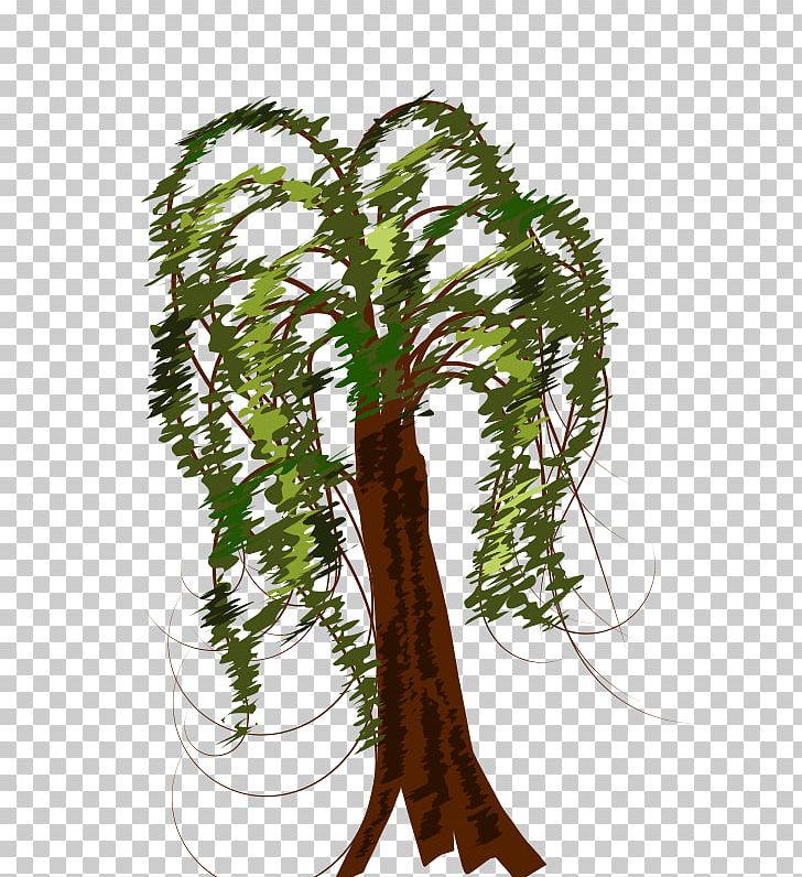 Tree Weeping Willow Twig PNG, Clipart, Branch, Computer Icons, Download, Drawing, Floral Design Free PNG Download