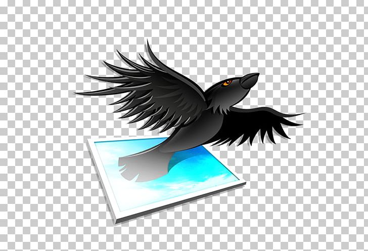 Aviary Editing Photography PNG, Clipart, Aviary, Beak, Bird, Common Raven, Download Free PNG Download