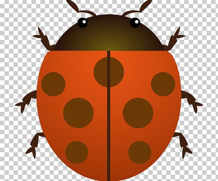 Ladybird Beetle PNG, Clipart, Animals, Arthropod, Beetle, Download, Fruit Free PNG Download