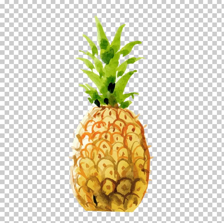 Pineapple Drawing PNG, Clipart, Bromeliaceae, Creative, Creative Pineapple, Drawing, Encapsulated Postscript Free PNG Download