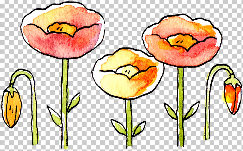 Tulip Plant Stem Cut Flowers Petal Flower PNG, Clipart, Biology, Cut Flowers, Flower, Petal, Plants Free PNG Download