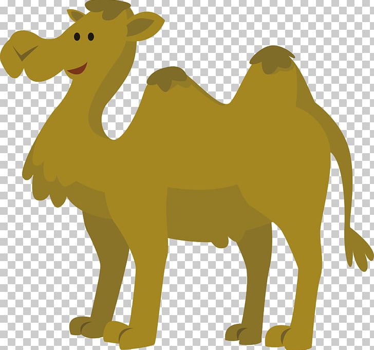 Camel Animation PNG, Clipart, Animals, Brown, Camel Vector, Carnivoran, Cartoon Free PNG Download