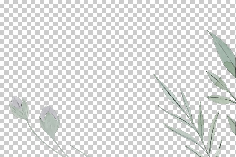 Twig Plant Stem Leaf Line Art Grasses PNG, Clipart, Biology, Flower, Grasses, Leaf, Line Art Free PNG Download