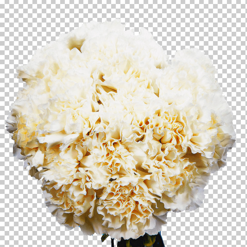 Flower Bouquet PNG, Clipart, Carnation, Cut Flowers, Flower, Flower Bouquet Free PNG Download