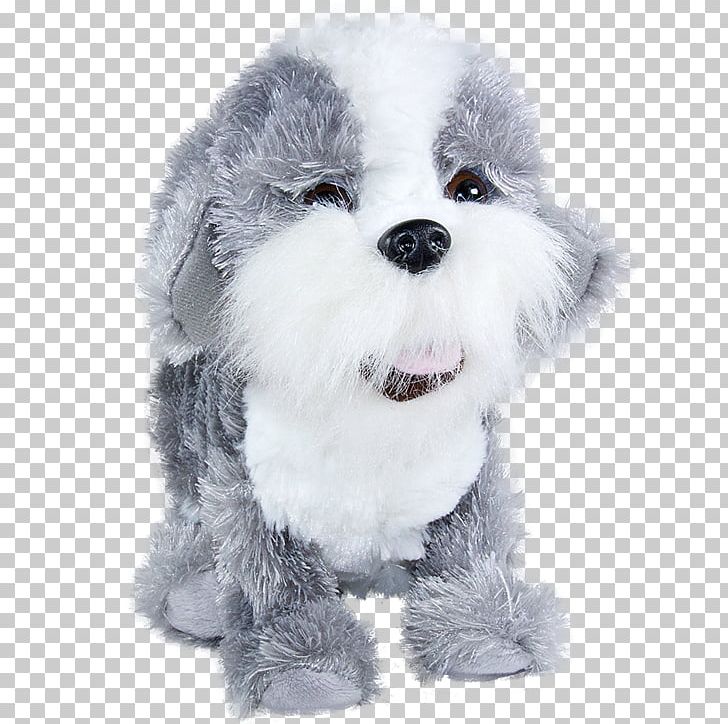 Beagle Shih Tzu Dog Paddle Puppy Grey PNG, Clipart, Animals, Beagle, Carnivoran, Companion Dog, Dandie Dinmont Terrier Free PNG Download