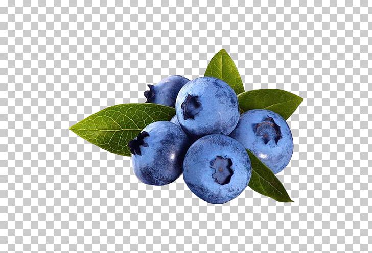 Blueberry Pie Blueberries For Sal Antioxidant PNG, Clipart, Anthocyanin, Aristotelia Chilensis, Berry, Bilberry, Blackberry Free PNG Download