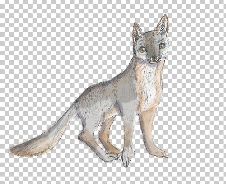 Cat Tail Wildlife Fox News PNG, Clipart, Animals, Carnivoran, Cat, Cat Like Mammal, Dog Like Mammal Free PNG Download