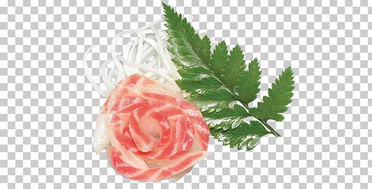 Garden Roses Sashimi Sushi Cut Flowers Centifolia Roses PNG, Clipart, Artificial Flower, Centifolia Roses, Cut Flowers, Floristry, Flower Free PNG Download