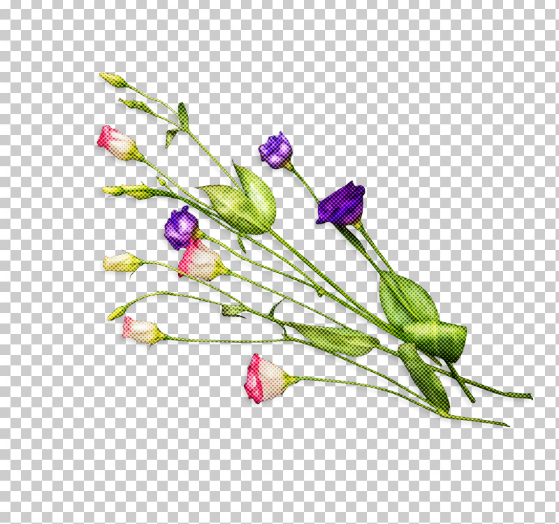 Flower Plant Cut Flowers Pedicel Plant Stem PNG, Clipart, Bud, Cut Flowers, Flower, Pedicel, Plant Free PNG Download