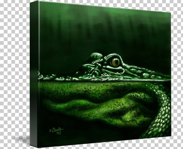 Amphibian Gallery Wrap Alligator Canvas Art PNG, Clipart, Alligator, Amphibian, Animals, Art, Canvas Free PNG Download