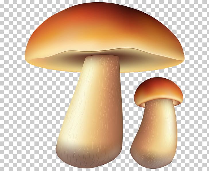 Common Mushroom Edible Mushroom PNG, Clipart, Common Mushroom, Desktop Wallpaper, Edible Mushroom, Fungus, Lamella Free PNG Download