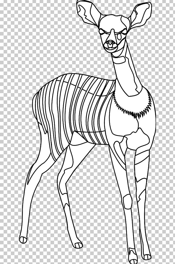 Deer Black And White Line Art PNG, Clipart, Animal, Animal Line Art, Antler, Arm, Black And White Free PNG Download