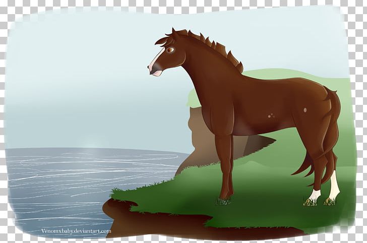Mane Mustang Stallion Foal Pony PNG, Clipart,  Free PNG Download