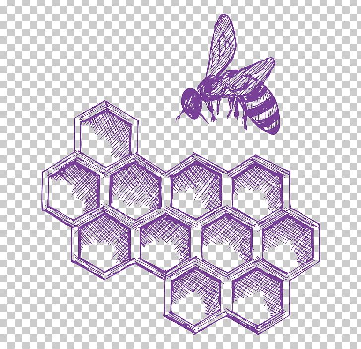 Western Honey Bee Insect Beehive PNG, Clipart, Bee, Beehive, Drawing, Honey, Honey Bee Free PNG Download