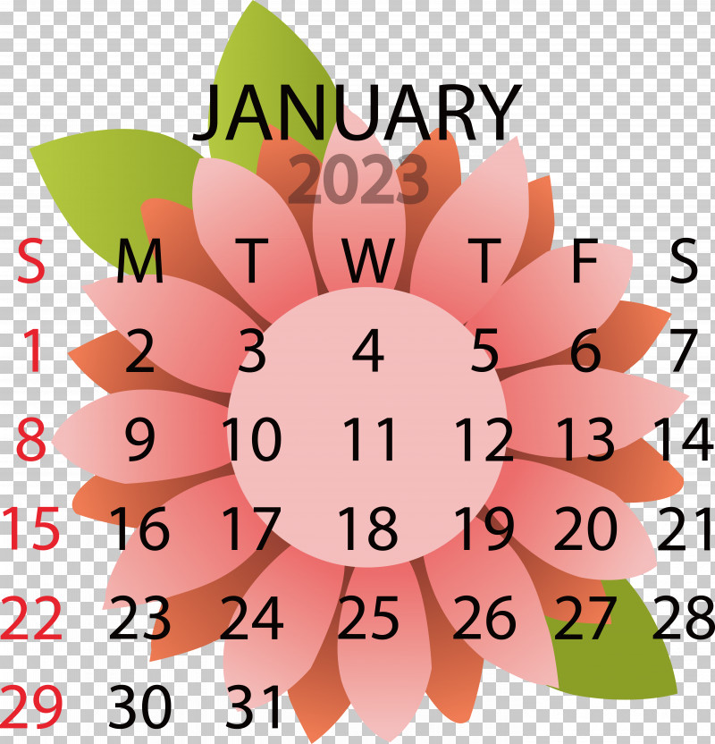 Flower Line Petal Calendar Geometry PNG, Clipart, Calendar, Flower, Geometry, Line, Mathematics Free PNG Download