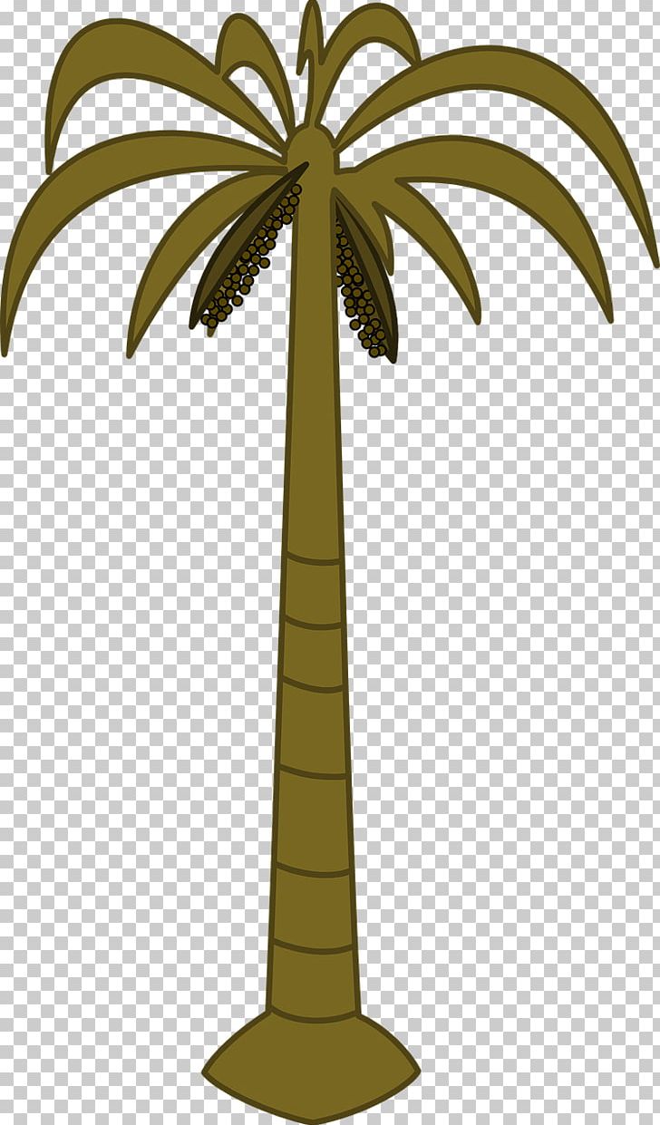 Arecaceae Tree Date Palm Coconut PNG, Clipart, Arecaceae, Arecales, Coconut, Coconut Tree, Computer Icons Free PNG Download