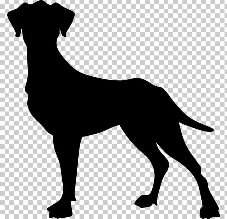 Dog Breed Puppy Sporting Group Black PNG, Clipart, Animals, Black, Black And White, Black M, Breed Free PNG Download