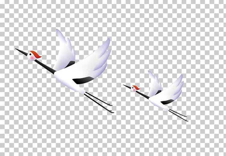 Red-crowned Crane Bird PNG, Clipart, Ancient Wind, Beak, Bird, Blue Crane, China Free PNG Download