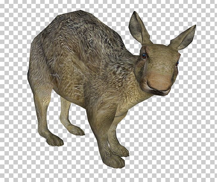 Sculptor Kangaroo Elephantidae Artist Sculpture PNG, Clipart, Animal, Animalier, Artist, Elephantidae, Fauna Free PNG Download