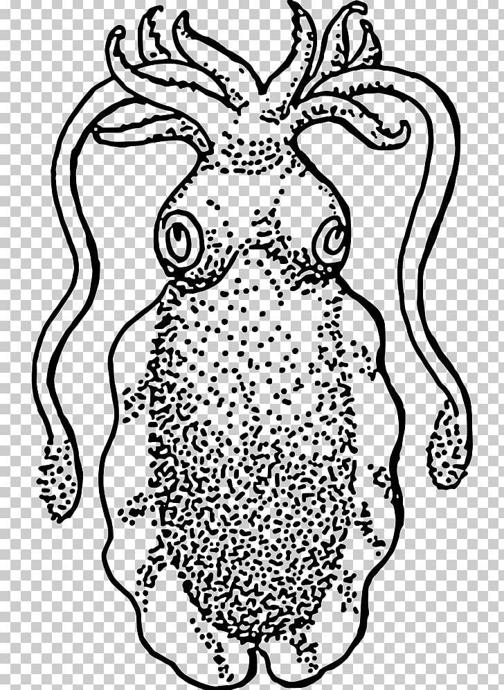 Squid Cuttlefish Drawing PNG, Clipart, Animal, Area, Art, Black, Black And White Free PNG Download