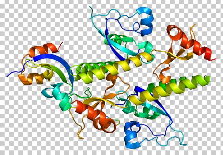 CHD1 Chromodomain Protein Helicase Gene PNG, Clipart, 2 B, Amino Acid, Area, Art, Artwork Free PNG Download