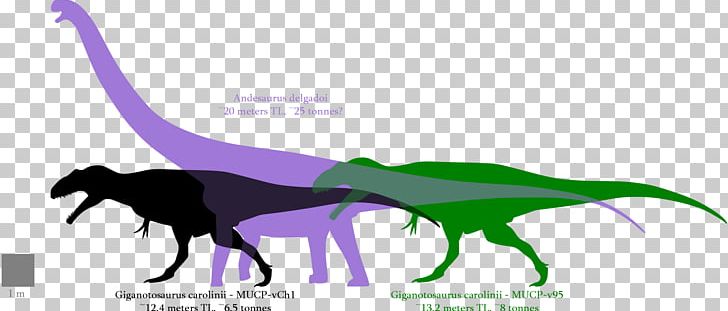 Giganotosaurus Argentinosaurus Dinosaur Size Tyrannosaurus Mapusaurus PNG, Clipart, Allosaurus, Andesaurus, Argentinosaurus, Carcharodontosaurus, Dinosaur Free PNG Download