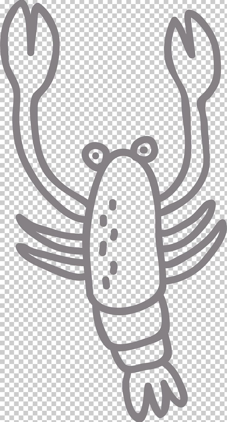 Lobster Shrimp And Prawn As Food PNG, Clipart, Abstract Lines, Art, Encapsulated Postscript, Finger, Frozen Prawns Free PNG Download
