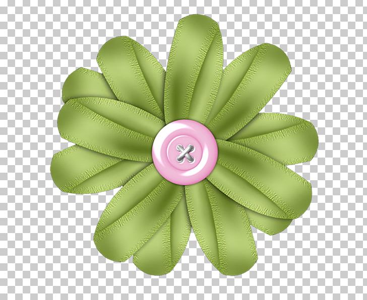 Petal Flower Creativity PNG, Clipart, Art, Creativity, Designer, Flower, Green Free PNG Download