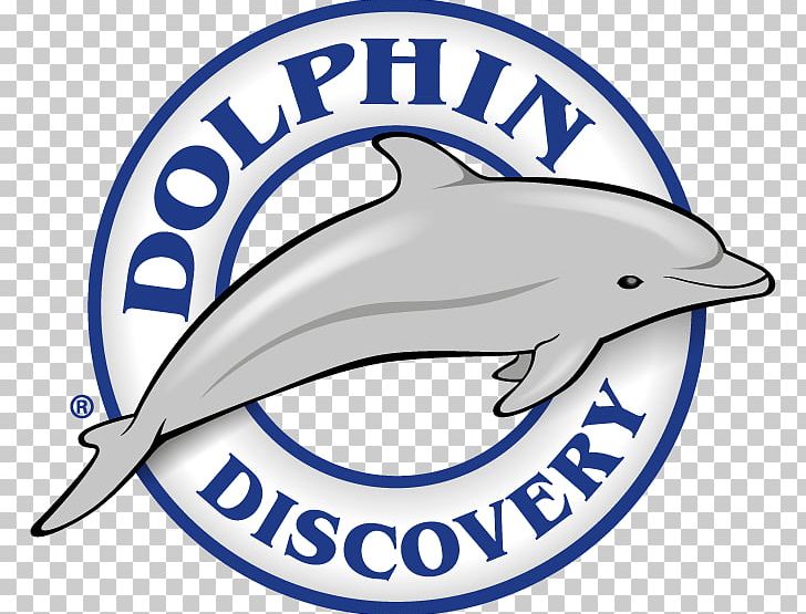 Dolphin Discovery Costa Maya Isla Mujeres Playa Del Carmen Mahahual PNG, Clipart, Area, Brand, Discovery, Dolphin, Dolphinarium Free PNG Download