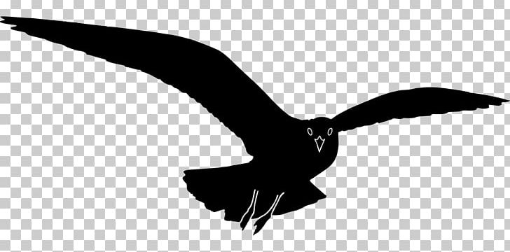 Gulls Silhouette PNG, Clipart, Animals, Beak, Bird, Black And White, Computer Icons Free PNG Download