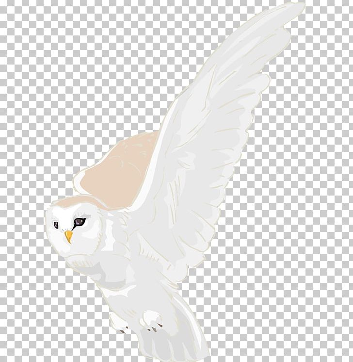 Owl Feather Beak Figurine Tail PNG, Clipart, Beak, Bird, Bird Of Prey, Feather, Figurine Free PNG Download