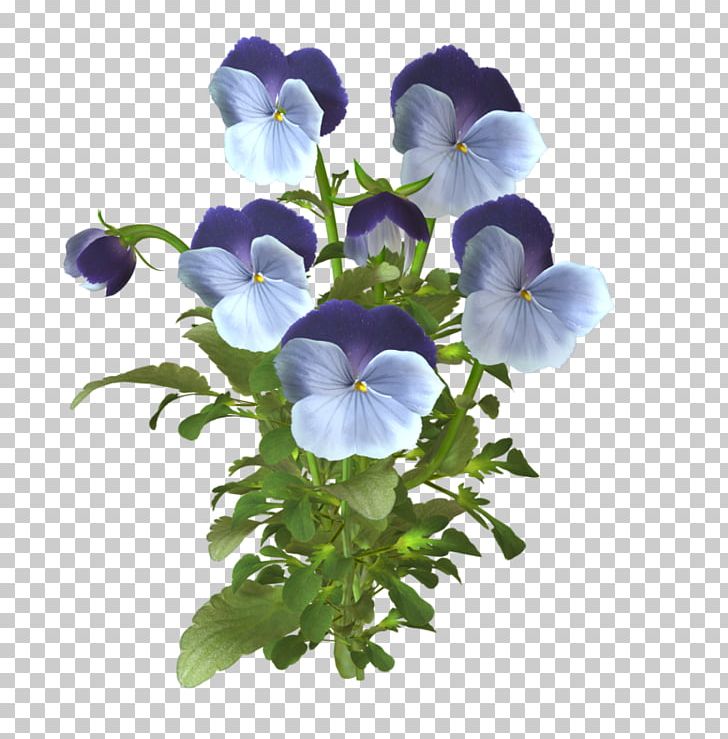 Pansy Animaatio Blog PNG, Clipart, Animaatio, Annual Plant, Blog, Cut Flowers, Fleur Free PNG Download