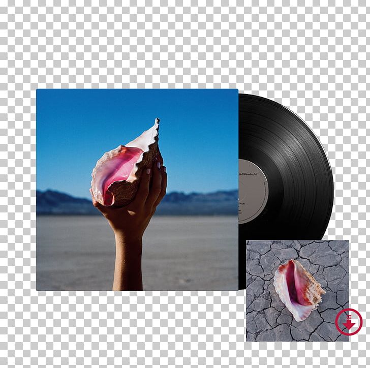 The Killers Wonderful Wonderful Album Hot Fuss Phonograph Record PNG, Clipart,  Free PNG Download