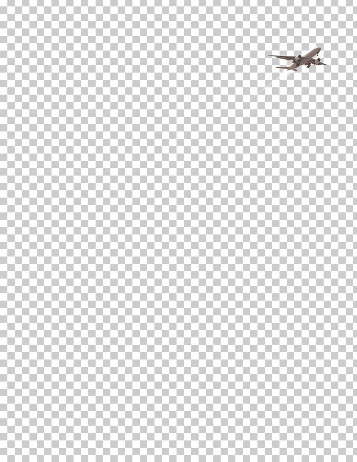 Adobe Illustrator Black And White PNG, Clipart, Aircraft, Angle, Arc, Christmas Decoration, Circle Free PNG Download