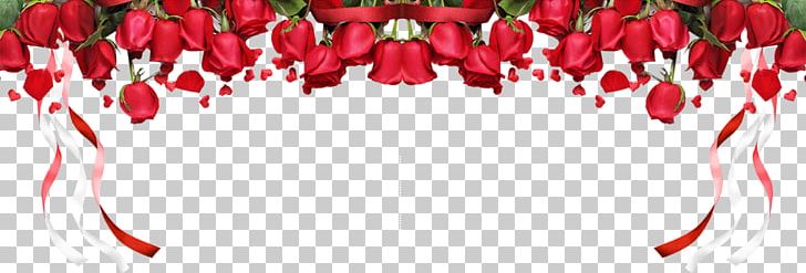 Beach Rose Red Garden Roses Pink PNG, Clipart, Colored, Colored Ribbon, Creative Artwork, Creative Background, Creative Graphics Free PNG Download