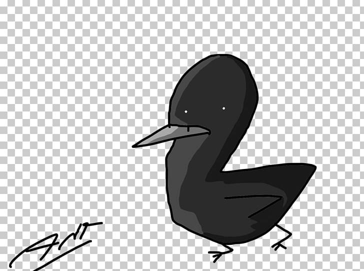 Beak Goose Bird Cygnini Duck PNG, Clipart, Anatidae, Animals, Beak, Bird, Black And White Free PNG Download